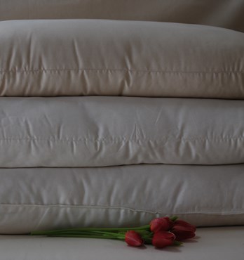 Organic Cotton Pillows Image