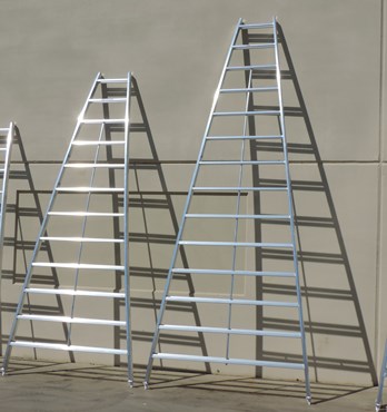 AIM Orchard Ladders Image