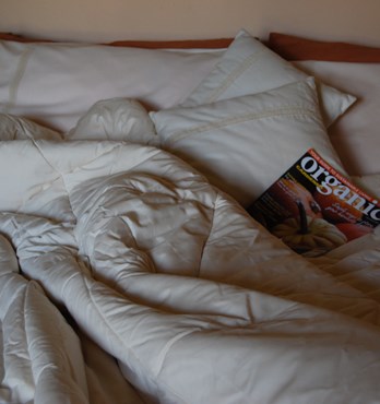 Organic Cotton Bedding and Bedlinen Image