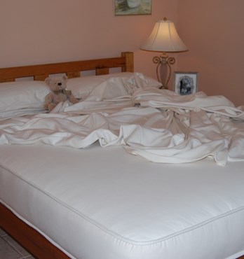 Organic Cotton Mattresses and Futons Image