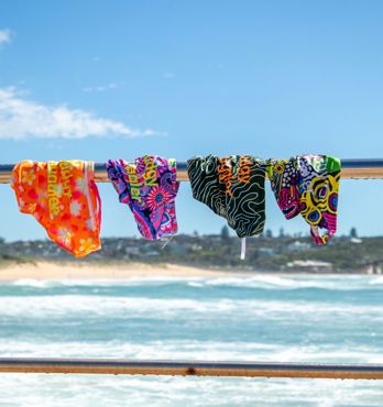Budgy Smuggler Swimwear Image