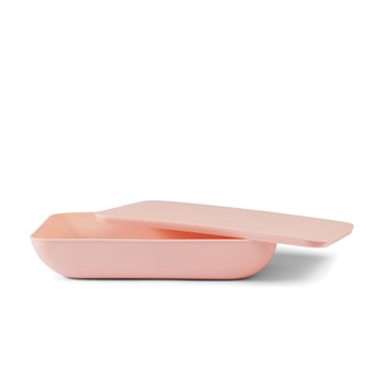 Serving platter with lid- the rectangle