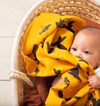 Organic Baby Wraps (Baby Blankets) Image
