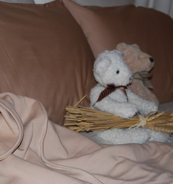 Organic Cotton Blankets Image