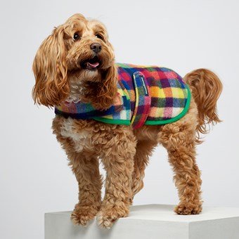 Duncan Pure Wool Dog Sportcoats