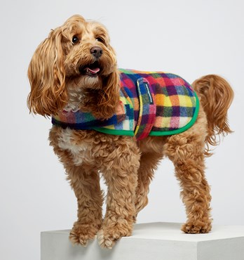 Duncan Pure Wool Dog Sportcoats Image