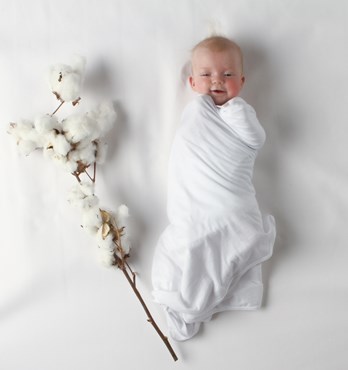 Baby Wraps and Swaddles Image