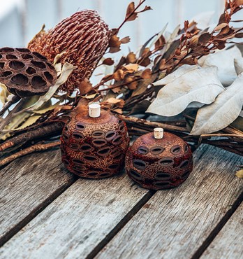 Banksia Aroma Pod Image