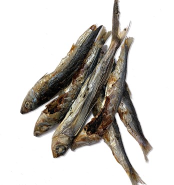 Dehydrated Fish Products Image