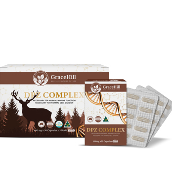 Gracehill DPZ Complex Image