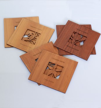 Australian Wildflower Placemats Image