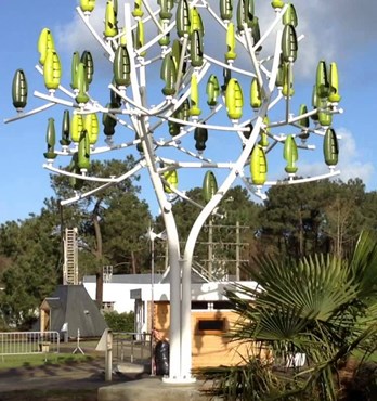 AUS-E Wind Tree Image