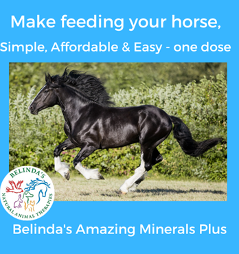 Belinda's Amazing Minerals Plus Image