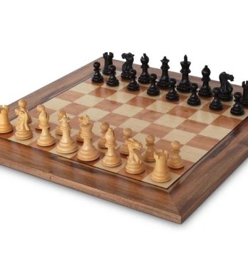 Gecko Chessboard Image