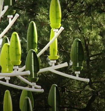 AUS-E Wind Tree Image