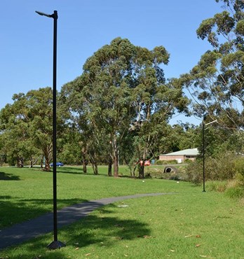 Non Lowerable Fixed Poles Image