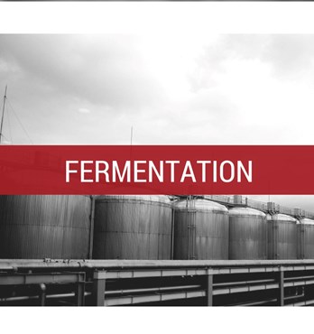 Food Grade Antifoamers/Defoamers Image