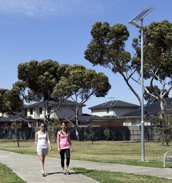 Non Lowerable Fixed Poles Image