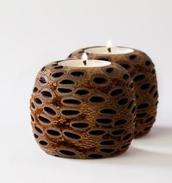 Banksia Ball Tea Lights Image