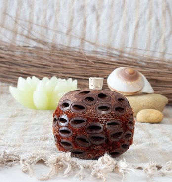 Banksia Scent Pot And Fragrant Oil Image