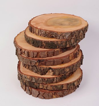 Raw wood slices Image