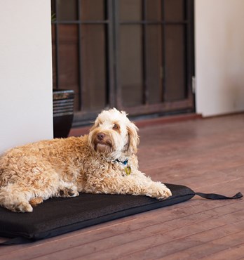 Flea Free Kennel Mat Image