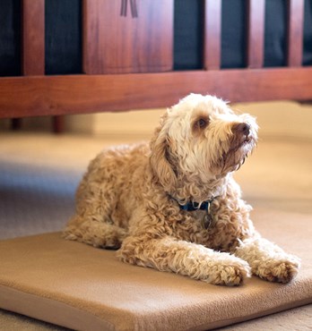 Fleece Kennel Mat Image