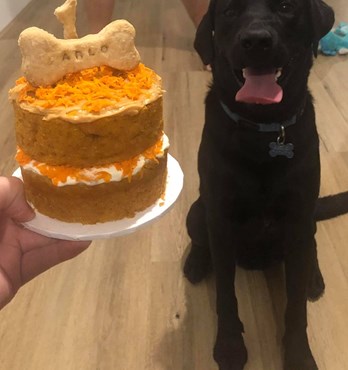 Celebration Cakes Image