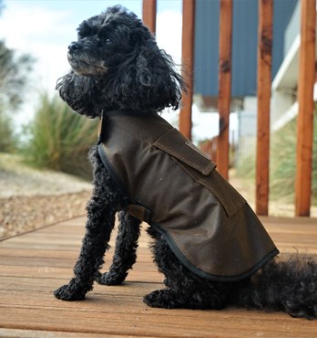 Oilskin Dog Coats Image
