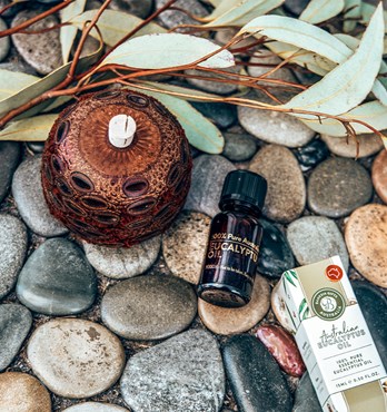 100% Pure Essential Australian Eucalyptus Oil Image