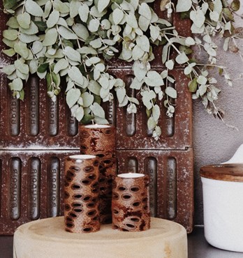 Banksia Pillar Candles Image