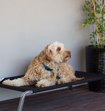 Welded Powder Coated Frame Beds Image