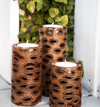Banksia Pillar Candles Image