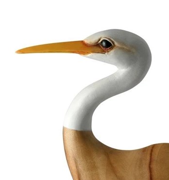 Egret Head Up Image
