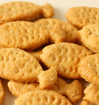 Bones & Biscuits Image