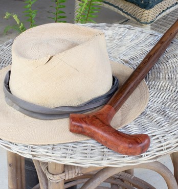 Hand-carved T-bar Handle Walking Stick Image