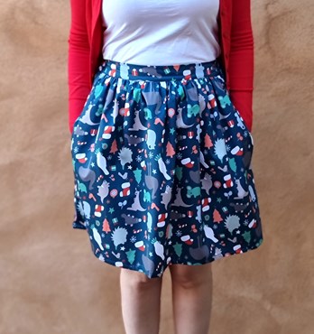 Ladies Skirts Image