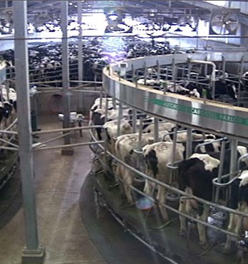 Cooling Panels Image