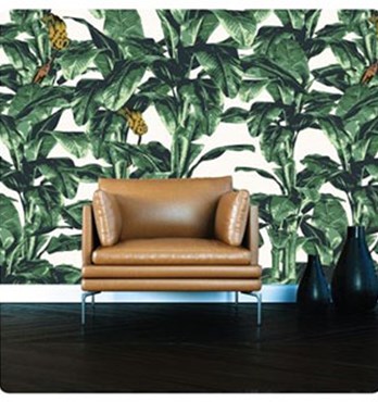 Removable wall stickers Image