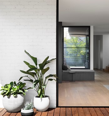 Haymes Paint Elite Exterior Image