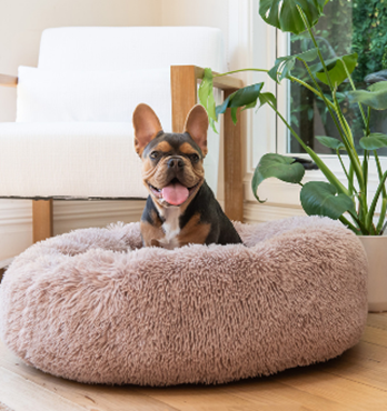 Curl Up Cloud Calming Dog Bed Image