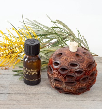 Banksia Scent Pot And Fragrant Oil Image