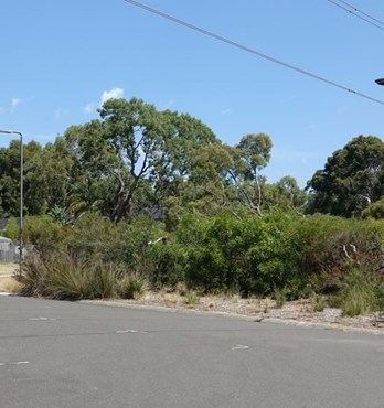 Non Lowerable Fixed Poles Image