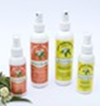 Lemon Myrtle Fragrances Natural Insect Repellents Image