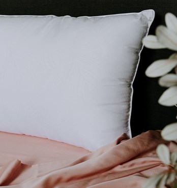 Sensitiva Polyester Pillows Image