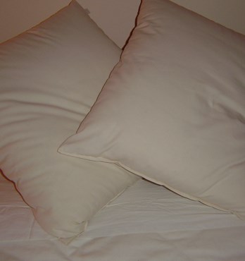 Organic Cotton Pillows  Image