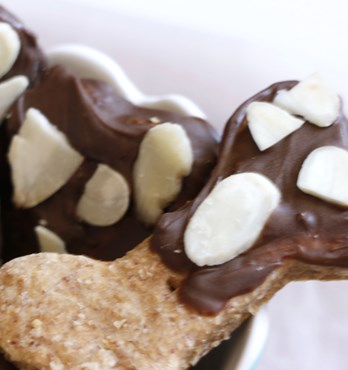 Bones & Biscuits Image