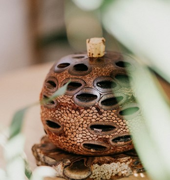 Banksia Aroma Pod Image