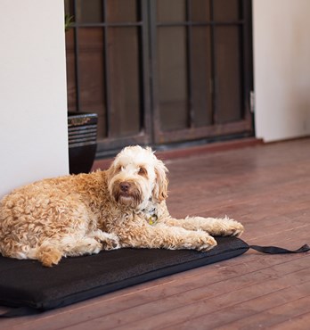Flea Free Kennel Mat Image