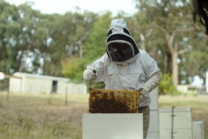 Aussie Made creates a buzz about World Bee Day